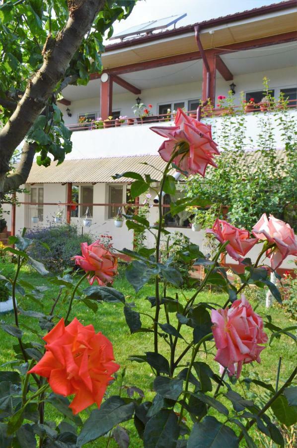 Casa Gia Hotel Costinesti Exterior photo
