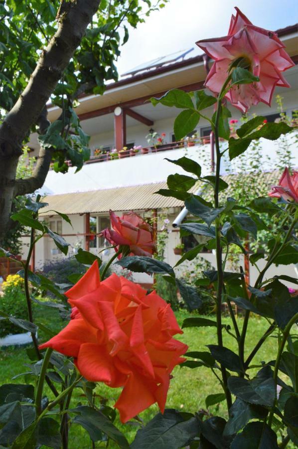 Casa Gia Hotel Costinesti Exterior photo